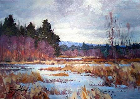 rutland marsh by john loughlin