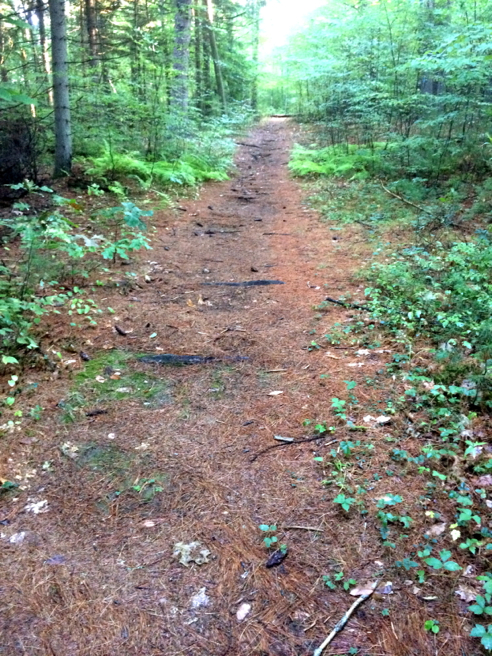 the trail, at least at first