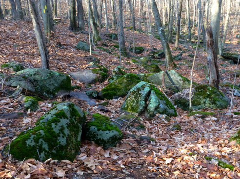 bouldery trail