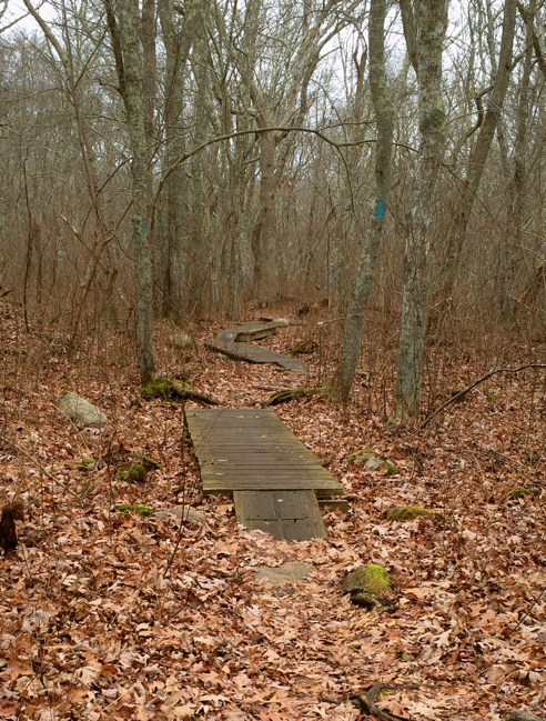 boardwalks on the north-south trail