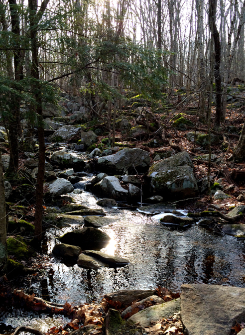 a brook along the trail