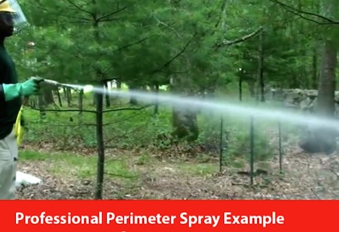 perimeter spray
