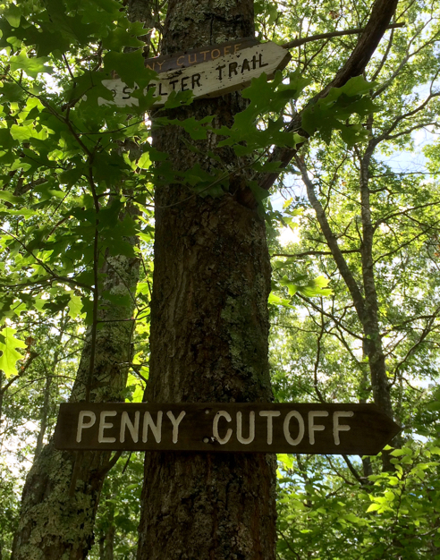 signs for the penny cutoff