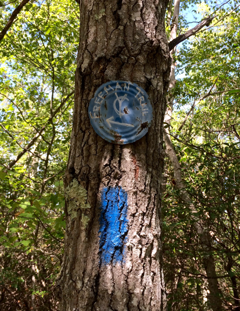 boy scout's blue trail