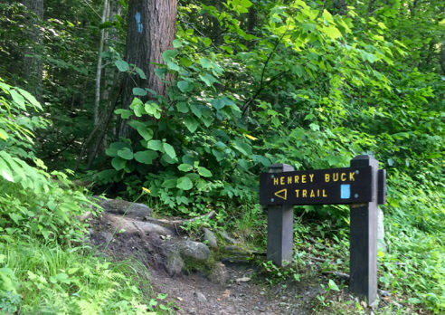 One of Two Trailheads