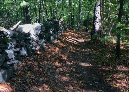 Goat Hill Trail