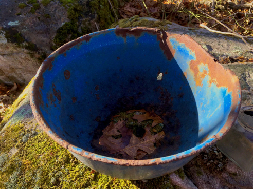 Blue Bowl on the Blue Trail