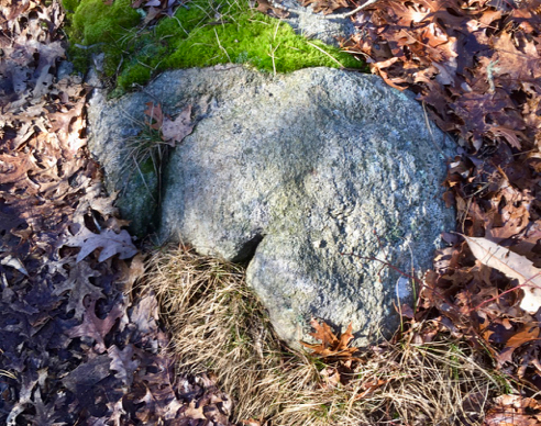 Hello, Butt Rock, My Old Friend