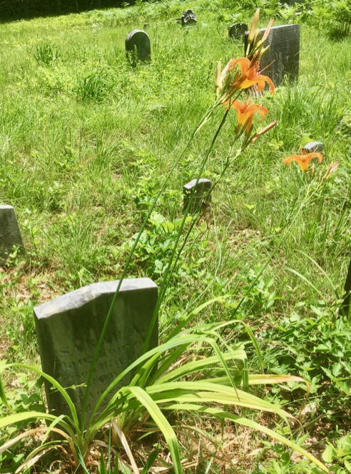 Two-Year-Old's Grave